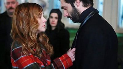 article