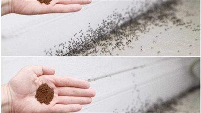 article